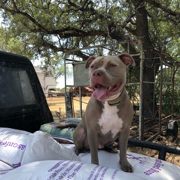 Meet your Posher, John - Picture 1 of 1